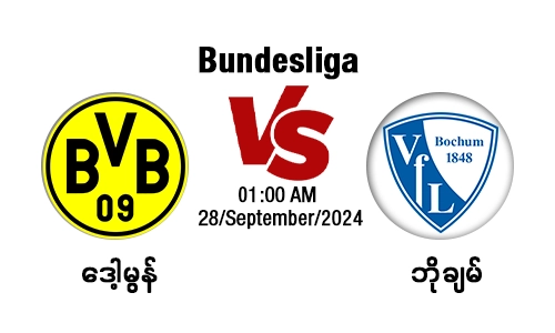 Bourssia Dortmund Vs VfL Bochum